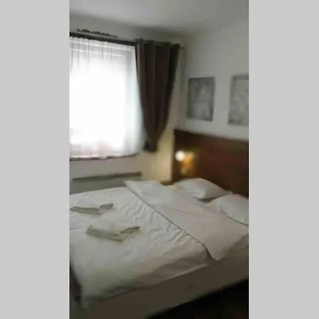 Belvedere Club Vip H 82 * Warna