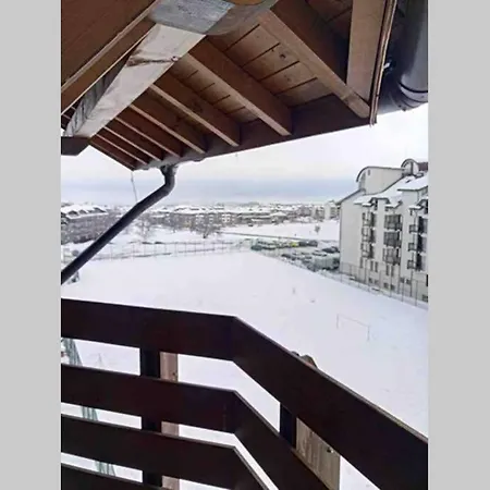 Belvedere Club Vip H 82 Warna